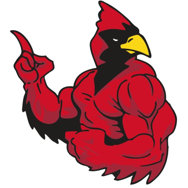 AR CARDINAL 28 RC Thumbnail